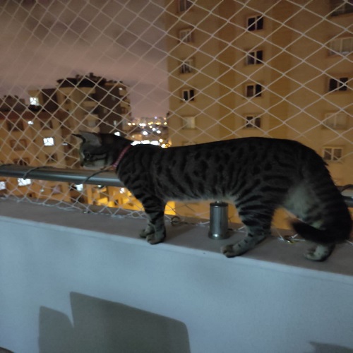 Yılmazlar Güvenlik Filesi Galeri Görseli 13