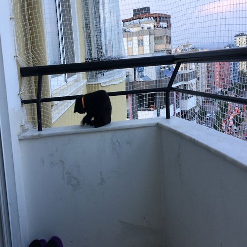 Yılmazlar Güvenlik Filesi Galeri Görseli 17