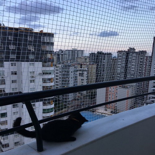 Yılmazlar Güvenlik Filesi Galeri Görseli 24