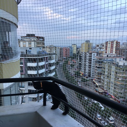 Yılmazlar Güvenlik Filesi Galeri Görseli 25