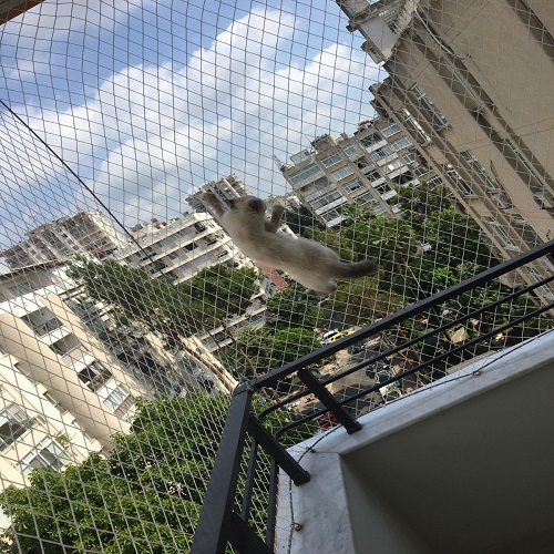 Yılmazlar Güvenlik Filesi Galeri Görseli 31